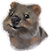 Quokka :quokka: